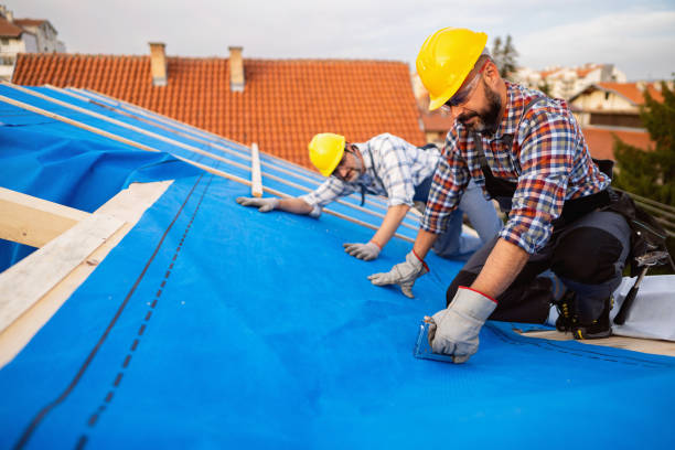 Best Metal Roofing Contractor  in Boyne City, MI